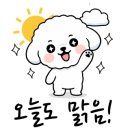 더블유동물병원 이미지