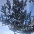 옥천공인중개사사무소 이미지