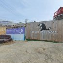 윤선생애견훈련소 이미지