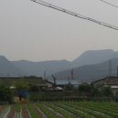 임천리경로당 이미지