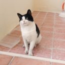 화곡2동 이미지