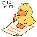 리틀피아니스트음악학원 - 강동구 풍성로65길 55 | 리틀피아니스트음악학원