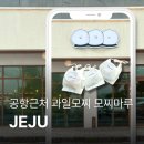 모찌마루 | 제주공항 근처 과일모찌 내돈내산 모찌마루 주차 및 맛후기