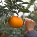 은숙농장 이미지