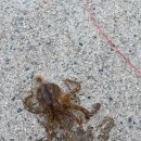 낚시마을 이미지