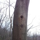 유림농장 이미지