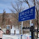 서학로 사거리 이미지