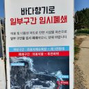 마루펜션 | 속초 바다향기로 애견동반 불가 외옹치는 가능