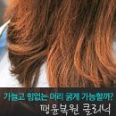 그라토헤어