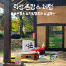 용주밥상 | 팸투어 의성 별헤는 사촌캉스 여행 고운사 템플스테이 사촌은행나무숲