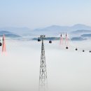 무안황토갯벌랜드 이미지