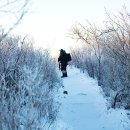 겨울나그네 이미지