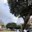 우장돈장식당 | 첫 내돈내산 해외자유여행(24.2.1~2.4) - 대만(4)