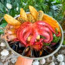 모모의바다 이미지