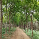 늠내길5코스 정왕둘레길 이미지