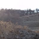 삼봉1리 이미지