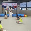 캥거루태권도 이미지