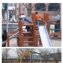 요즘 애들이 숫기가 없는 이유 이미지
