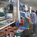 수산시장 이미지