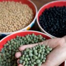 색동두부 이미지