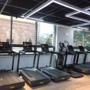 화이트애플 이미지