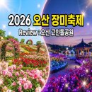 2026 오산 장미축제, 고인돌공원 나들이 후기! 낮과 밤 다른 매력에 깜짝