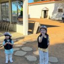 말타기 | 성산 카페 아이랑 말타기 좋은 밭디 4살 승마 체험 후기