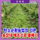 삼복농장 | 유기농오미자 농장내 예초기로 풀베기 작업하기
