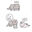 영동족발 - 동구 송현로16번길 16 | 영동족발