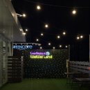 왈왈애견 | (부산애견카페) 새벽1시까지 하는 부산시청 애카, 왈왈랜드 후기