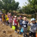 즐거운농장 이미지