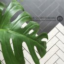 D00276 | 룩앤디 포스터 이벤트 당첨 후기:)