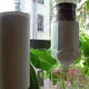 분땡