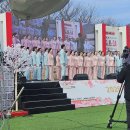 도깨비렌탈 | 부산 행사기획 / 부산경남음향 렌탈 전문｜2026 원동 매화축제 전반 운영 후기 (실제 현장 공개)