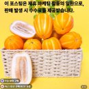 성주산유통 | 성주 참외 추천 고당도 꿀참외 산지직송 후기