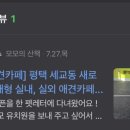 애견카페 애견유치원 펫레터 네이버블로그