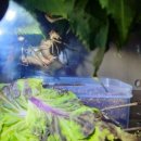 주산농장 이미지