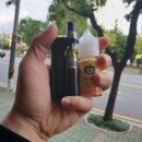 비비드독 이미지