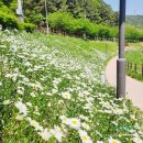 이현공원 이미지