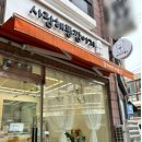 짱이야 애견미용 이미지