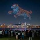 현대블루모터스 이미지