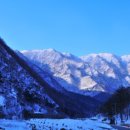 굿모닝병원 앞 사거리 이미지