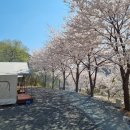 경주힐링캠프 | 경주오토캠핑 경주힐링캠프에서 찾은 자연 속 색다른 평화