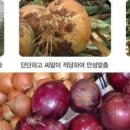 지성건강원 - 금산군 추풍천1길 8 | 지성건강원