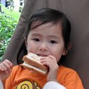 화왕산자연휴양림 이미지