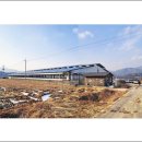 남면목장 이미지