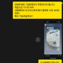 크림웨이브케이크 | 사직동 크림웨이브케이크 내돈내산 도시락케이크 주문 후기 ft. 동래사직레터링 당일케이크 추천