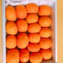 고현리 높은베리 영농조합법인 | 제주땡큐베리팜 제철과일 카라향 상큼해요 추천 구매 후기