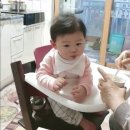 192021 | [후기 이유식 1-192021] 김당근양파/소고기두부애호박/소고기당근브로콜리 무른밥