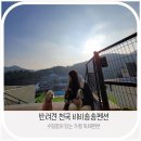 비비&숑숑 반려견펜션 | 신나는 가평 여행, 비비숑숑펜션 후기와 함께! 럭셔리 펜션, 반려견과 함께 즐긴 최고의 휴가&#34;
